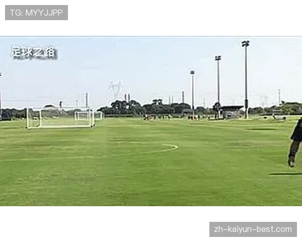 裁判手势解读：常见判罚信号与判定关键